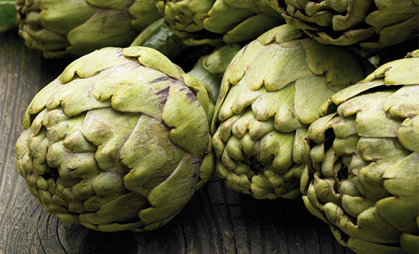 Giant Artichokes